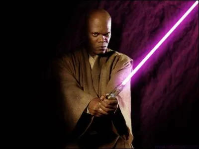 Mace Windu a un sabre laser...