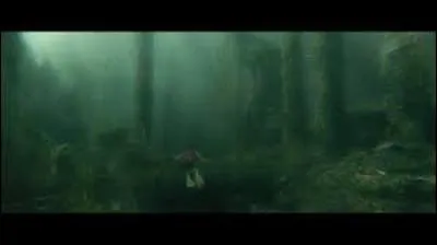 Quels prisonniers Harry ramène-t-il ?