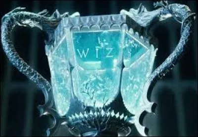 Quels sont les deux champions qui attrapent le trophée en même temps ?