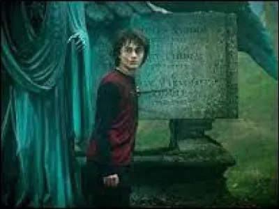 Quels sont les trois ingrédients nécessaires pour faire revivre Voldemort ?