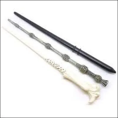 Que contiennent la baguette de Harry et celle de Voldemort ?
