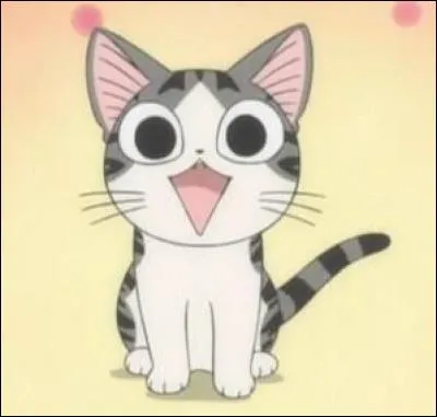 Une facile : quel est le nom de cette petite boule de poils, hyperactive et curieuse ?