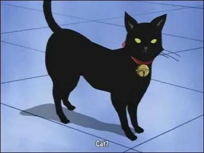 Quel est le nom de ce chat mystérieux dont la seule raison d'exister est de protéger sa chère maîtresse, Alice ?