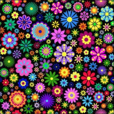 J'observe l'image et je vois : de jolies fleurs multicolores qui se touchent !