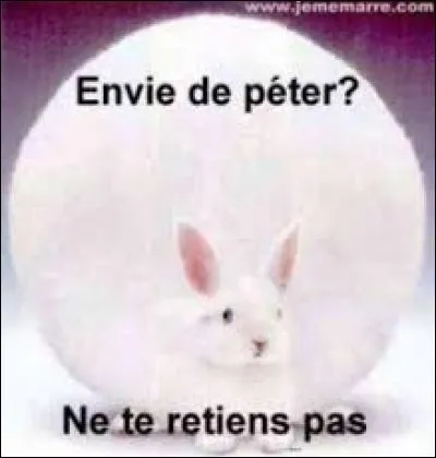 J'observe l'image et je vois : un animal gonflé comme une grosse boule blanche !