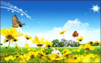 J'observe l'image et je vois : des papillons sur les tulipes jaunes !