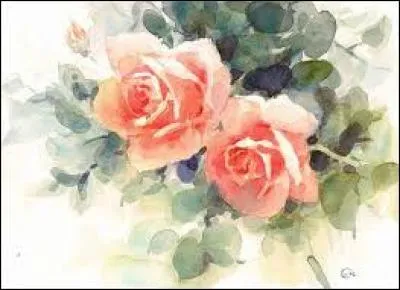 Grand arbre de l'Inde fournissant un bois précieux :