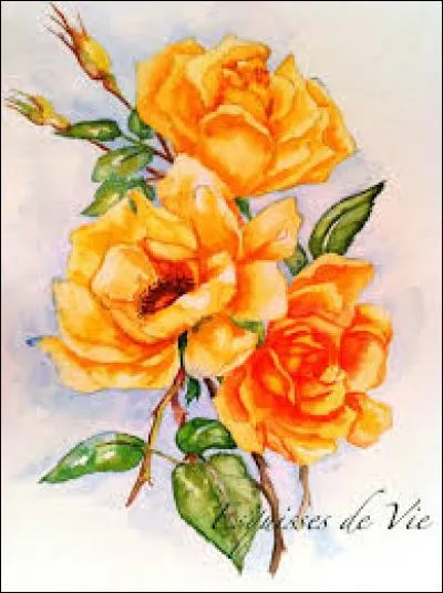 Musique jamaïcaine :