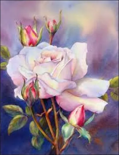 Poudre d'écorce de chêne et de quelques autres arbres utilisée dans le tannage végétal des peaux :