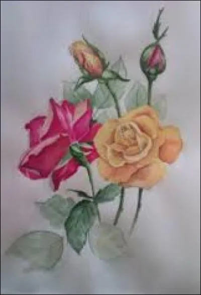 Peigne placé sur le battant du métier à tisser :