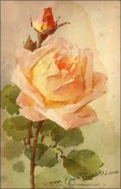 Nom familier d'un instrument de musique de la famille des bois :