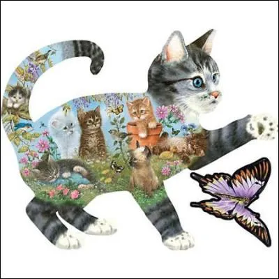 Les pattes du chat sont...