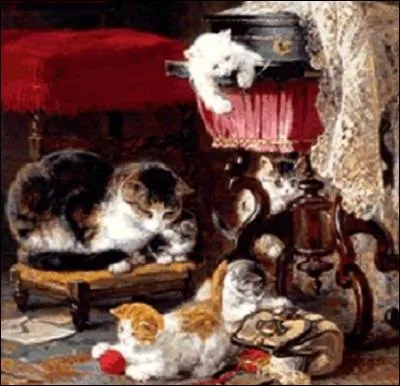 Combien de chatons comptes-tu ?