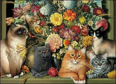 Compte les chats. Combien en vois-tu ?