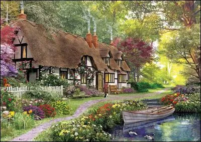 Comment est le chat ?