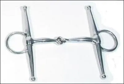 Comment appelle-t-on ce type de mord ?