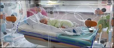 Dis maman, pourquoi il pleure le bébé dans la couveuse ?