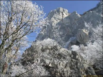 Quel terme d'escalade vient du nom des parois au-dessus de Collonges ?