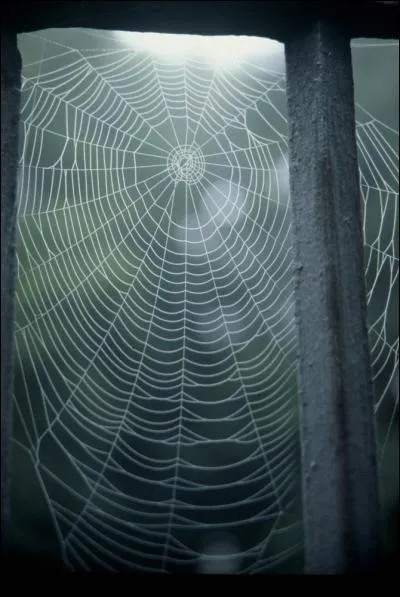 Quel métal a-t-on fabriqué sur le Salève à l'aide de bas-fourneaux ?