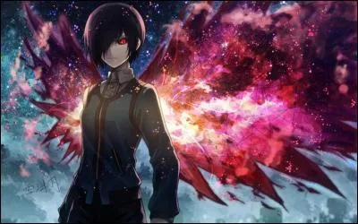 Quel est le type de kagune de Touka ?