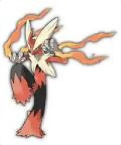 Quels sont les types de Mega-Brasegali ?