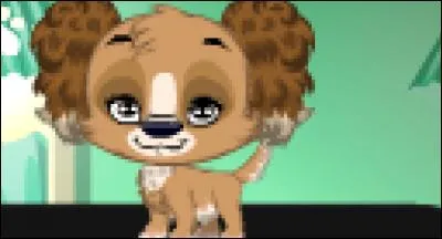 Comment s'appellent les animaux ?