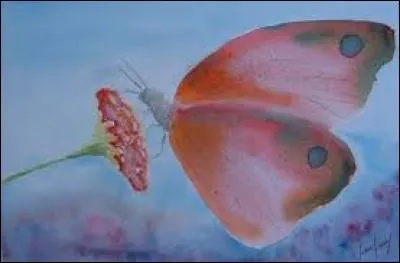 Doucement, progressivement :