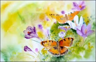 Insectes qui ont quatre ailes couvertes d'écailles fines :