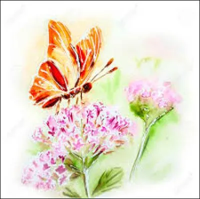 Peur subite, violente et incontrôlable :