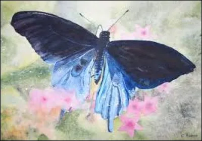 Banc bas pour reposer les jambes et les pieds :