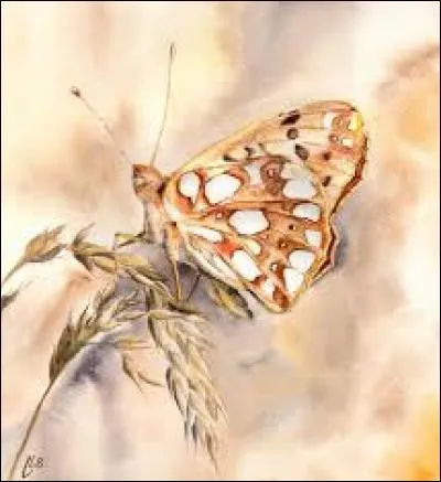 Masse de verre fondu avant son façonnage :