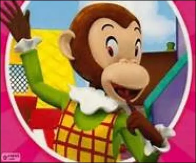 Comment s'appelle le singe ?