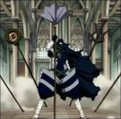 Qui n'est pas mage de rang S ?