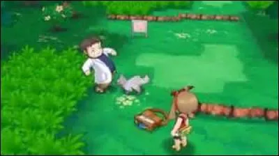 Quels sont les Pokémon de la route 101 Saphir Alpha ?