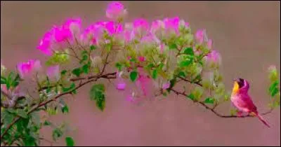 Espace de terre contenu entre deux coteaux :