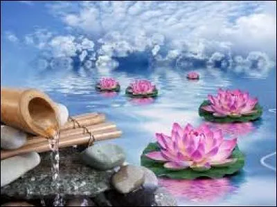 Large cuvette, le plus souvent en zinc, dans laquelle on fait ses ablutions à grande eau :