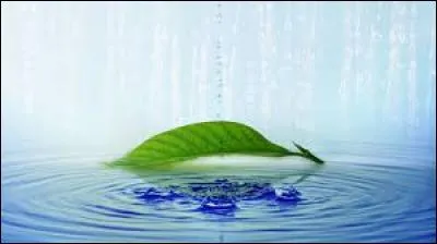 Familièrement, cheveu :