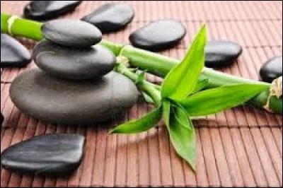 Grand luth iranien :