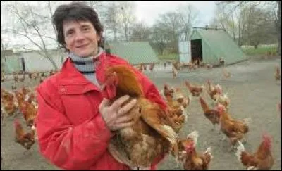 La vieille fermière se demande pourquoi sa grosse poule mue. C'est évidamment car elle vit en plein champ !