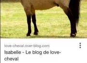 Quiz Les chevaux