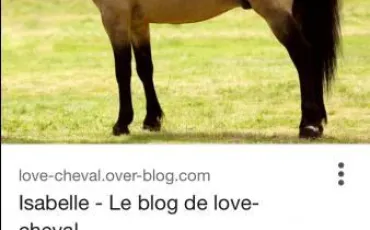 Quiz Chevaux