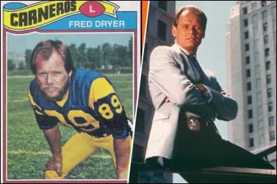 Fred Dryer, ancien joueur de football américain, a tenu le rôle principal dans une série policière. Comment s'appelle cette série ?
