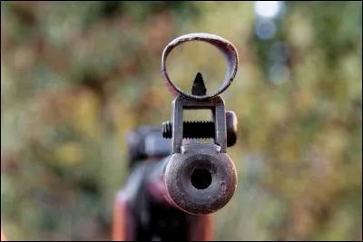 Aux Jeux, il y a également des épreuves de tir. Parmi ces propositions, laquelle a déjà servi de cible aux Jeux olympiques ?