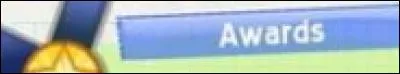 Que sont les awards ?