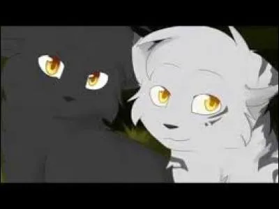 Dans les hors-séries aussi, certains couples sont interdits. Lesquels ?