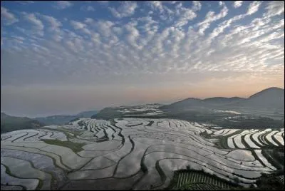 Combien d'étoiles le drapeau chinois compte-t-il ?