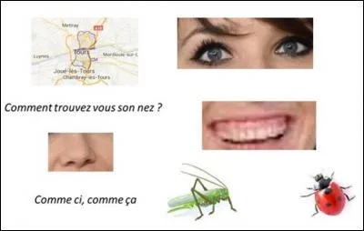 Qui veut "d'l'amour, d'l'a joie, de la bonne humeur" ?