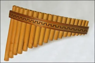 Quel est cet instrument à vent ?