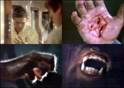 Commençons par les années 80 : Eric Cord a des problèmes, à chaque nuit de pleine lune, il se retrouve avec des grandes dents et plein de poils partout, c'est agaçant, sans compter les flics qui veulent sa peau !