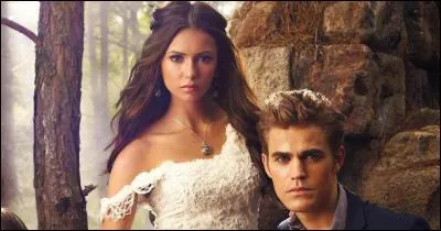 Jusqu'à présent, Elena poursuivait ses études, sans problème particulier, mais depuis qu'elle a rencontré les deux frangins Salvatore, elle se fait beaucoup de mauvais ... sang !